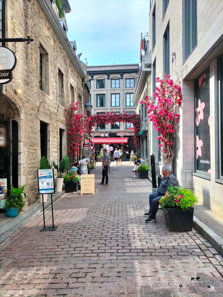 A side street of the main square. You see the narrow street with a man sitting on a bench on the right side and others talking on the left. Presence of red flowers along the street.