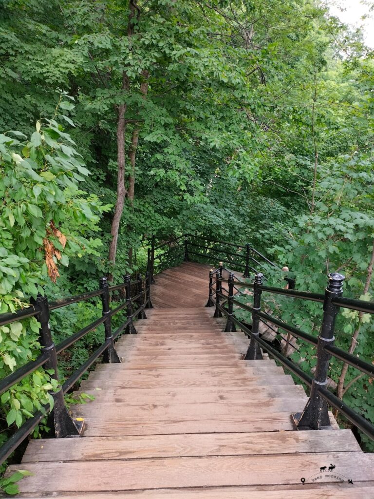 Wooden stairs with black iron railing needed to reach the summit of Mont-Royal. All around the stairs there is bush.