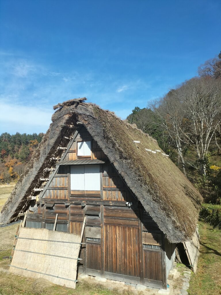 Another example of a typical house with a sloping thatched roof.