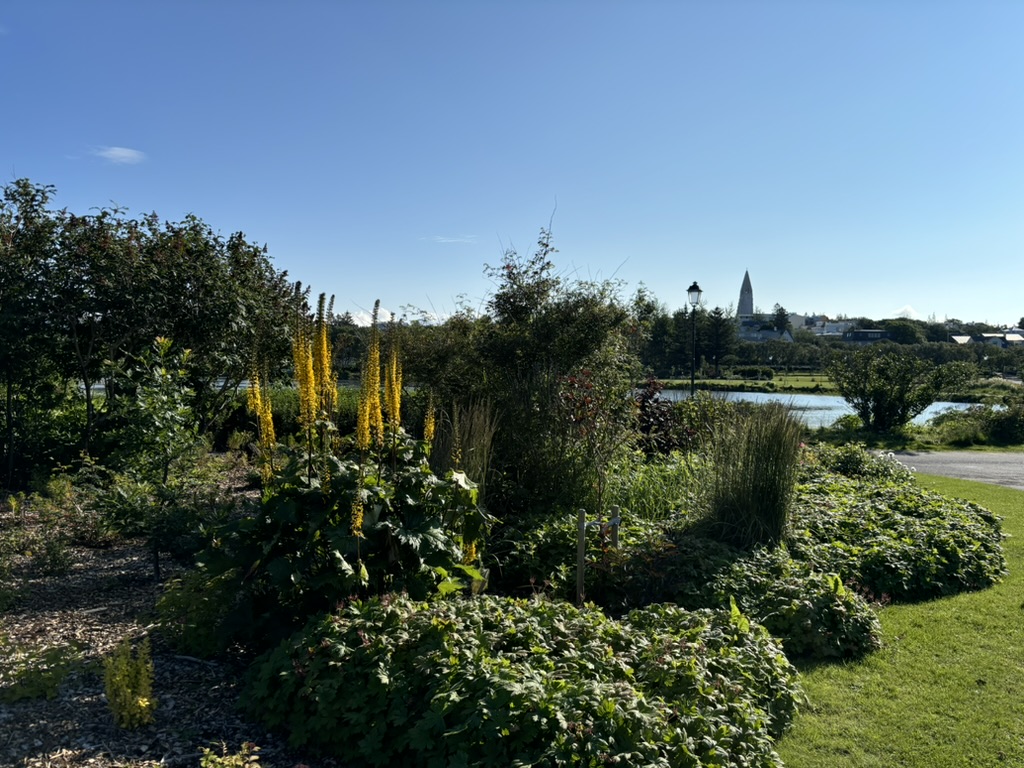 What to see in 1 Day in Reykjavik: our perfect itinerary. Park just out of the parking. The church in the background.