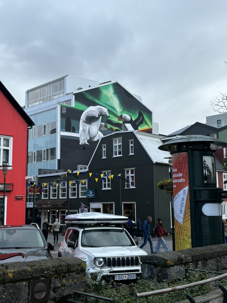 Huge murales in Central Reykjavik.