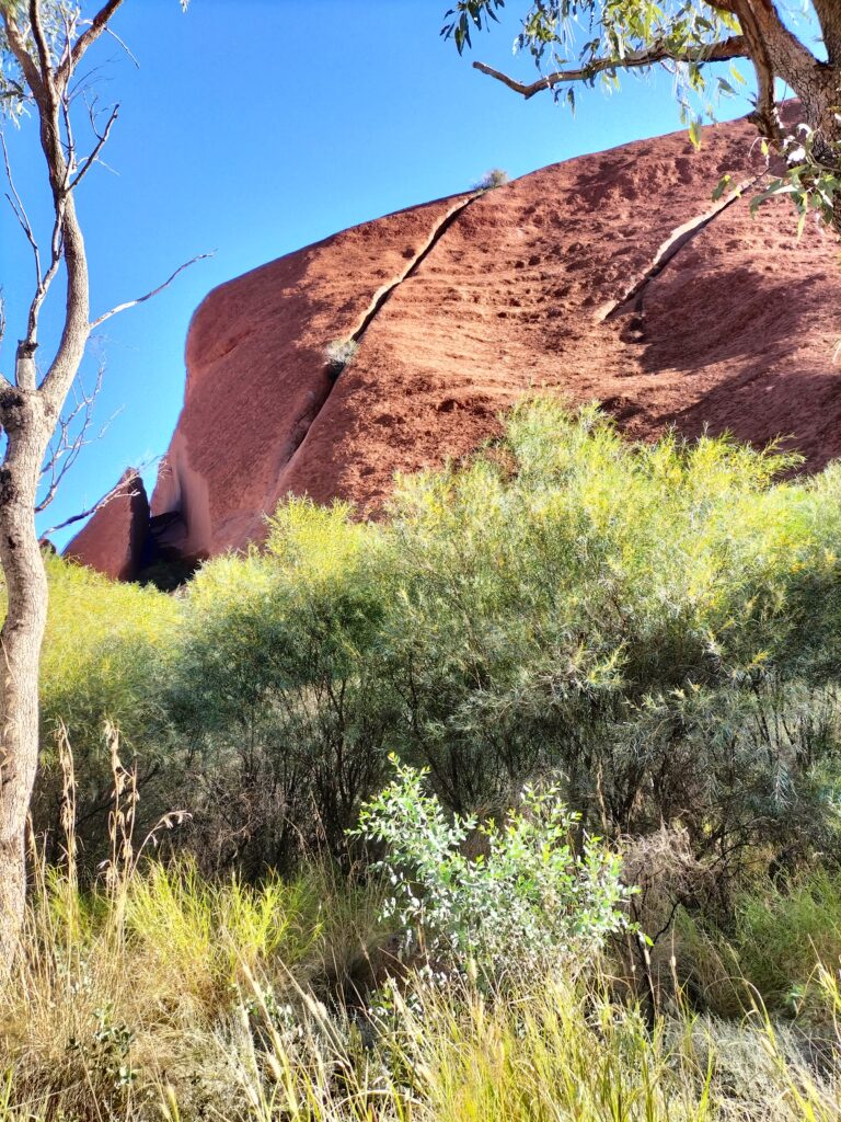 View of Uluru from the Mala Walk.