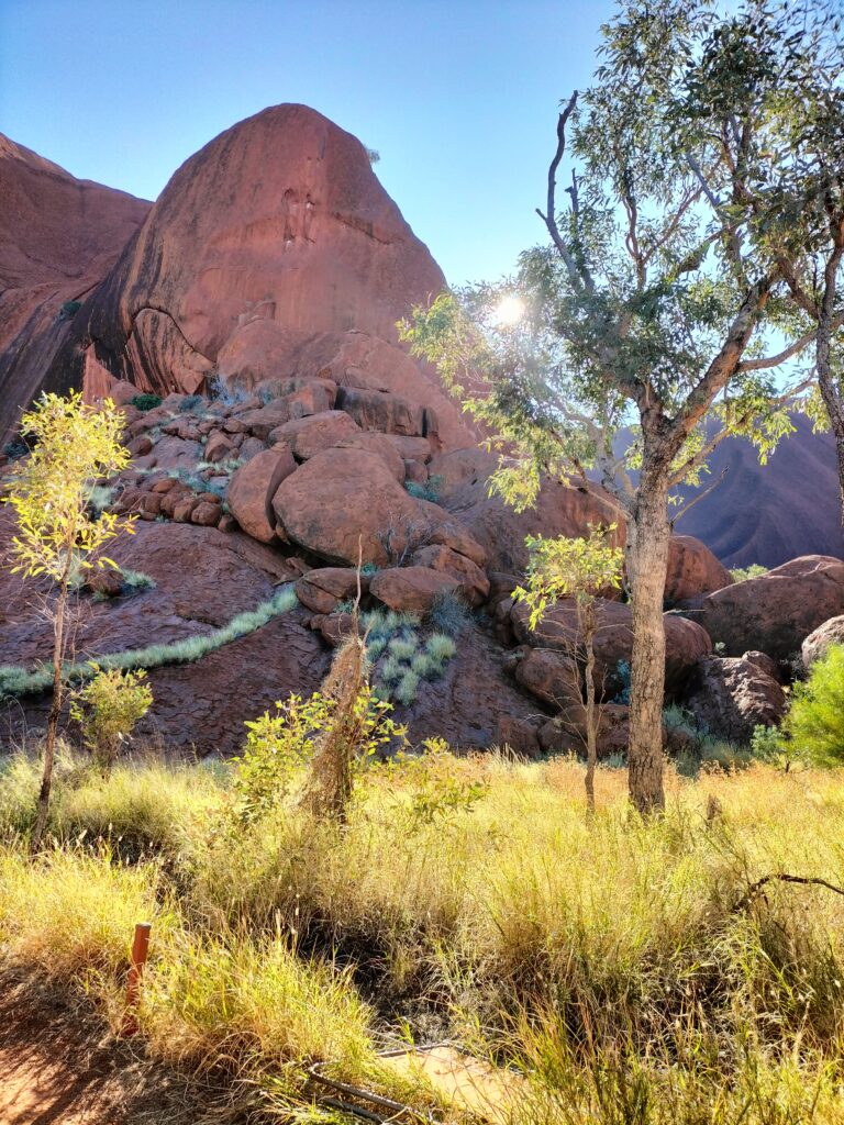 View of the Uluru.