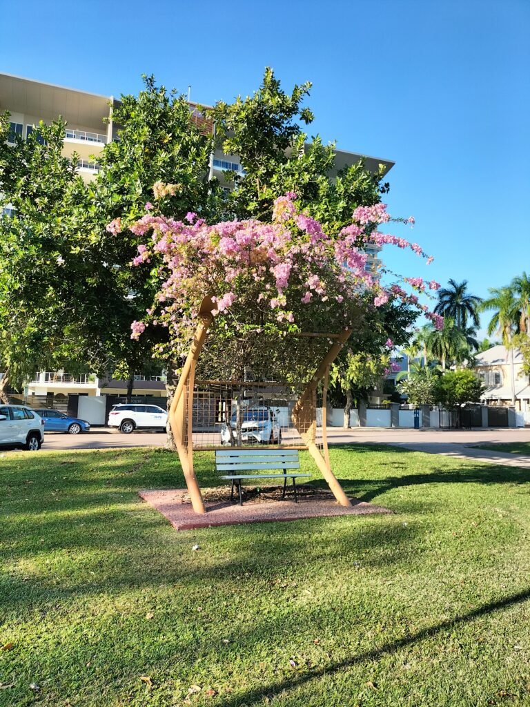 Bench with flowers in Darwin CBD.