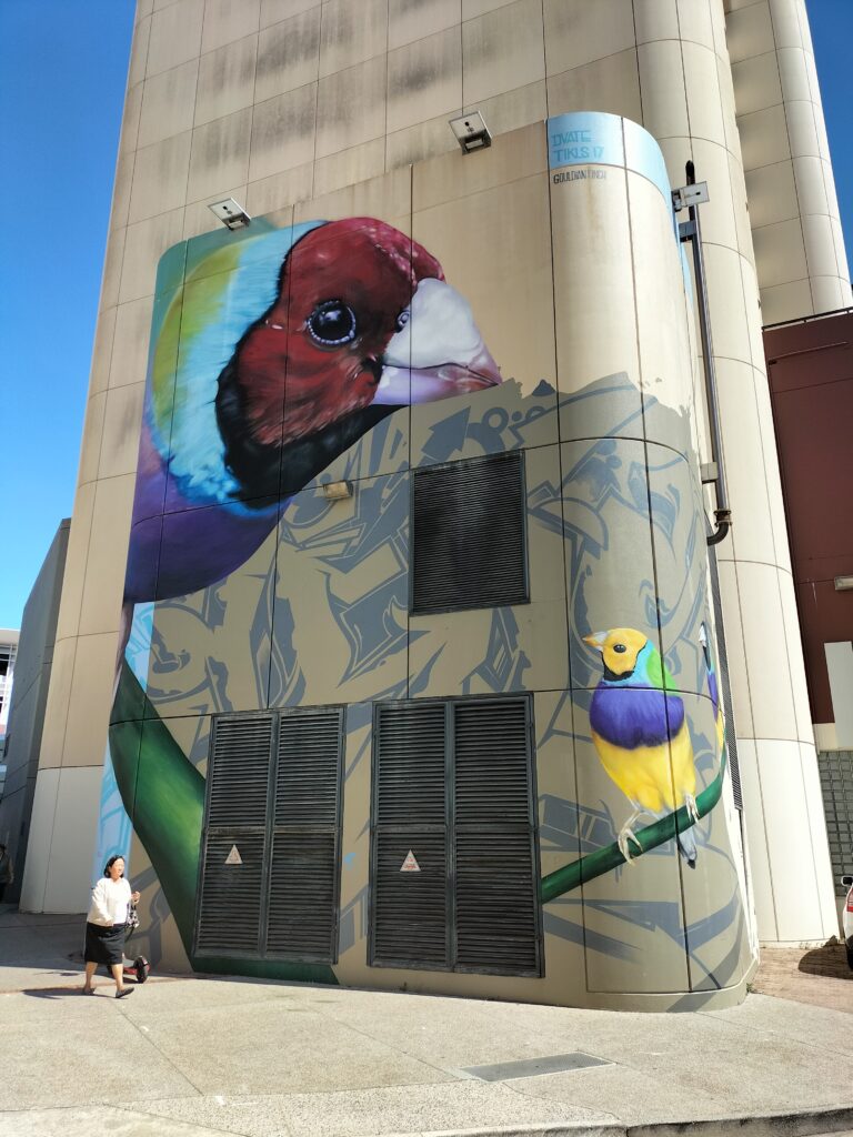 Some colorfull birds on a wall. A woman is passing.