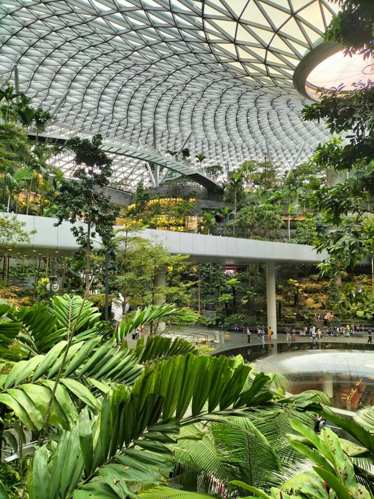 Vegetation inside the Terminal 4 of Changi Airport.