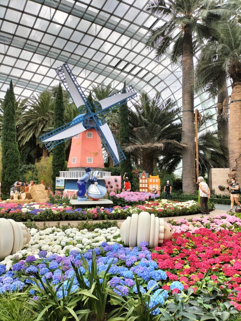 A windmill and a lot of flowers inside the Cloud Forest