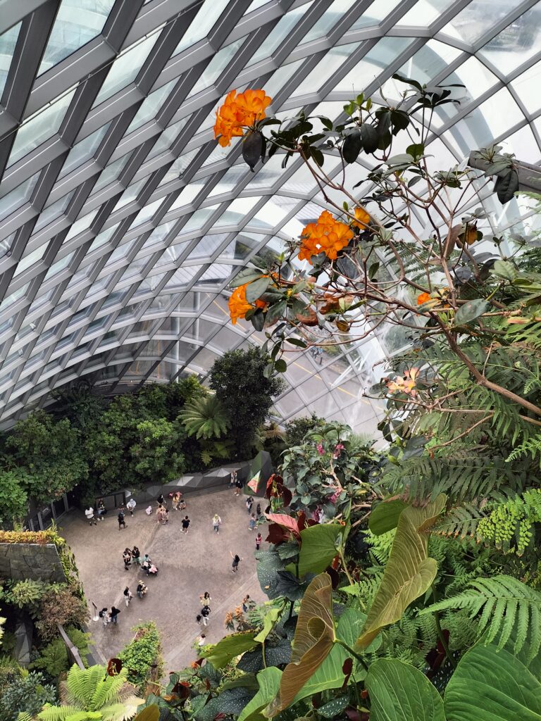 Orange flowers inside the Cloud Forest and view from above of people and vegetation.