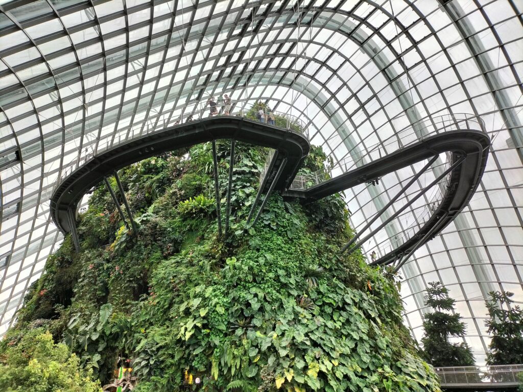 View of the pathway inside the Cloud Forest.