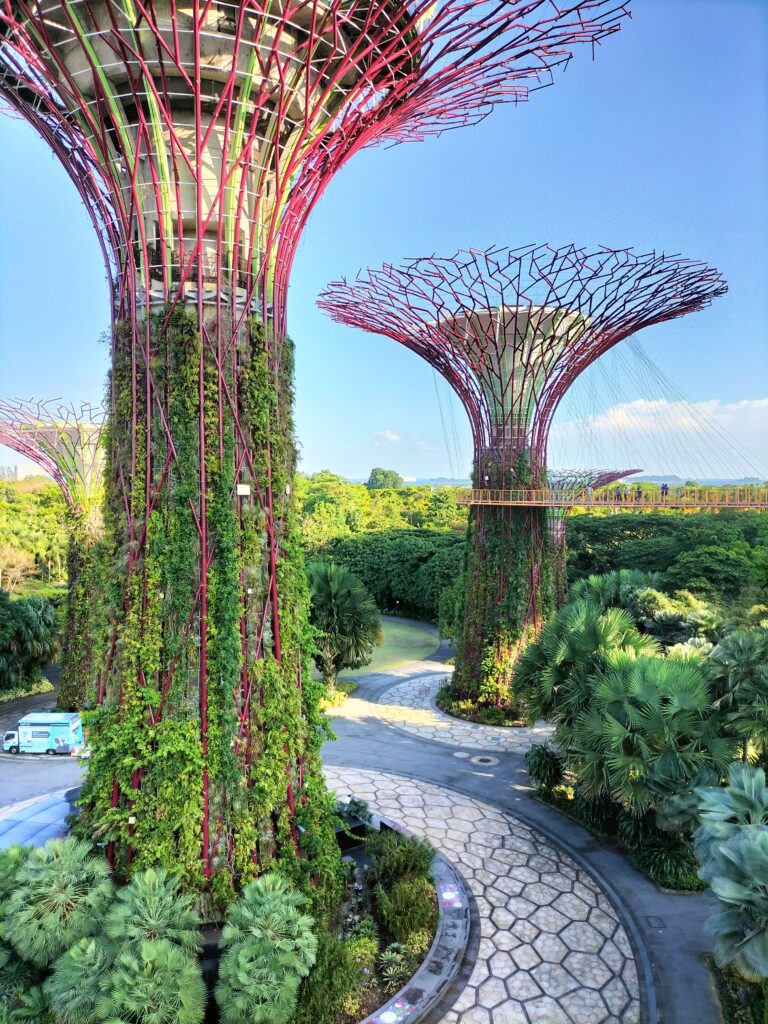 Two futuristic trees in Singapore.