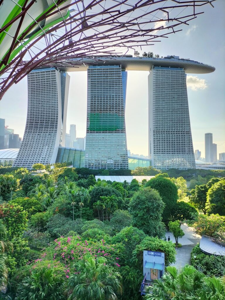 View of the Marina Bay Sands from the tree.