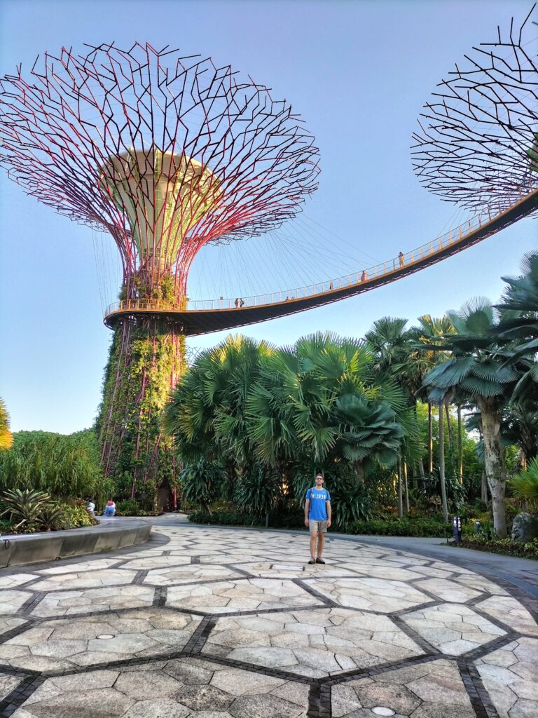 Tiziano under the futuristic trees.