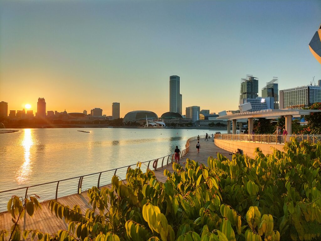 Sunset in Singapore. Vegetation in the foreground.