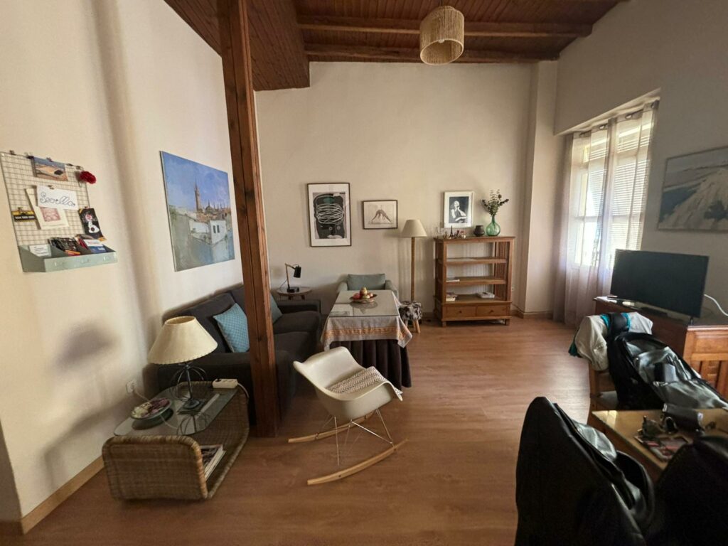 Interior view of the house in Seville. Image of the living room.