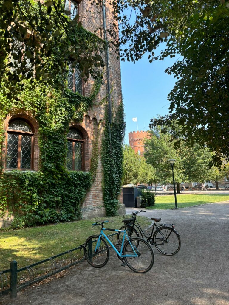 2 bikes in front of the library of the university.