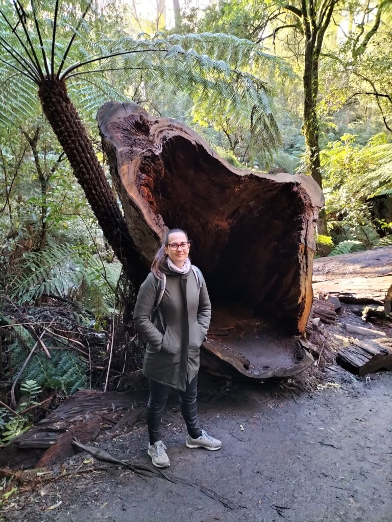 Claudia with a huge broken tree.