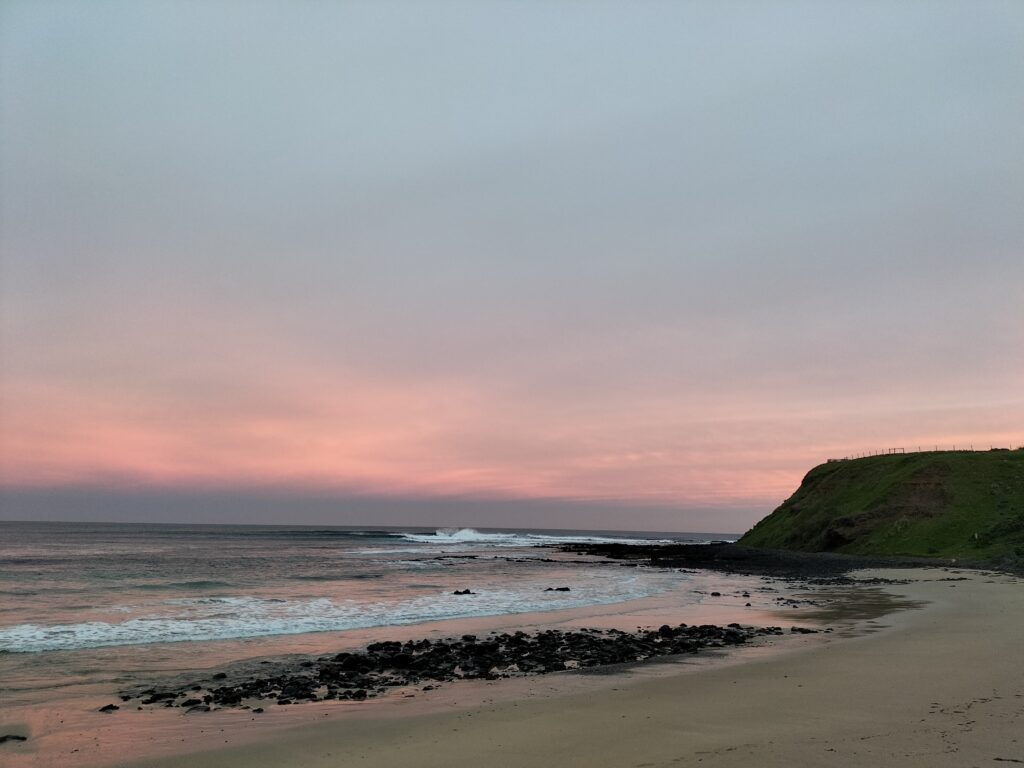 Beach where the little penguins came from.