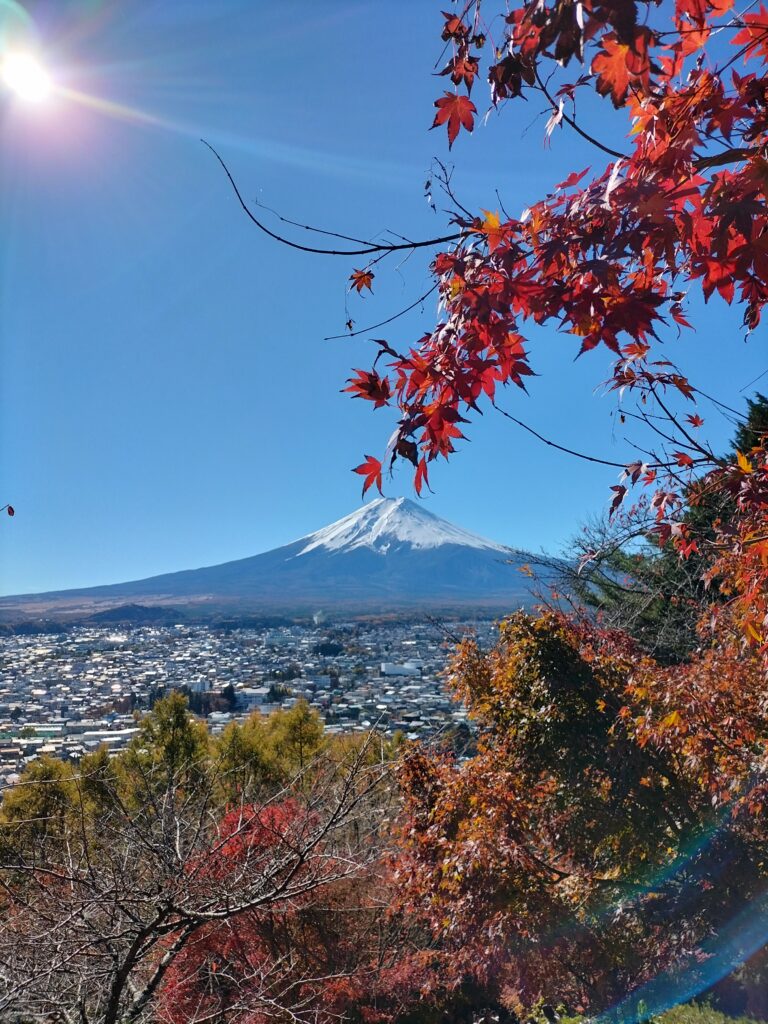 Mt.Fuji with a branch of red leaves and the blue sky.