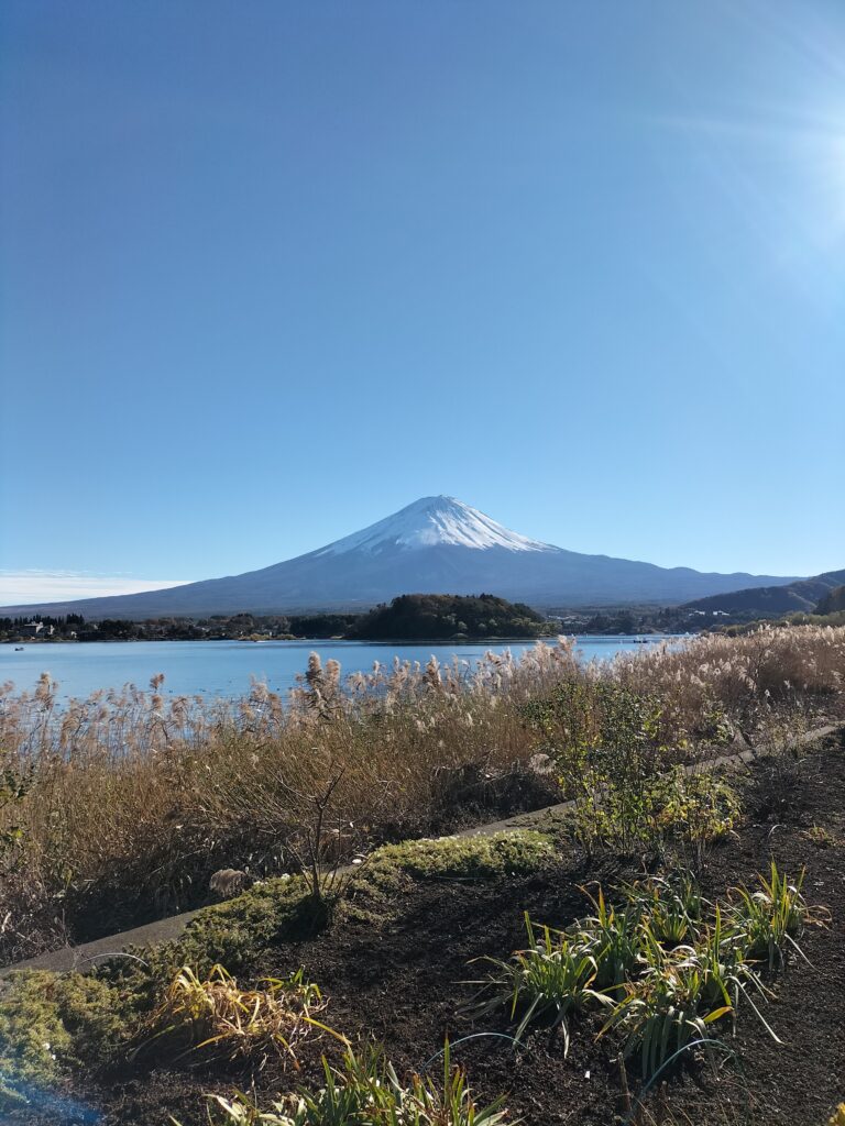 View of Mt.Fuji from Oishi Park (1) 