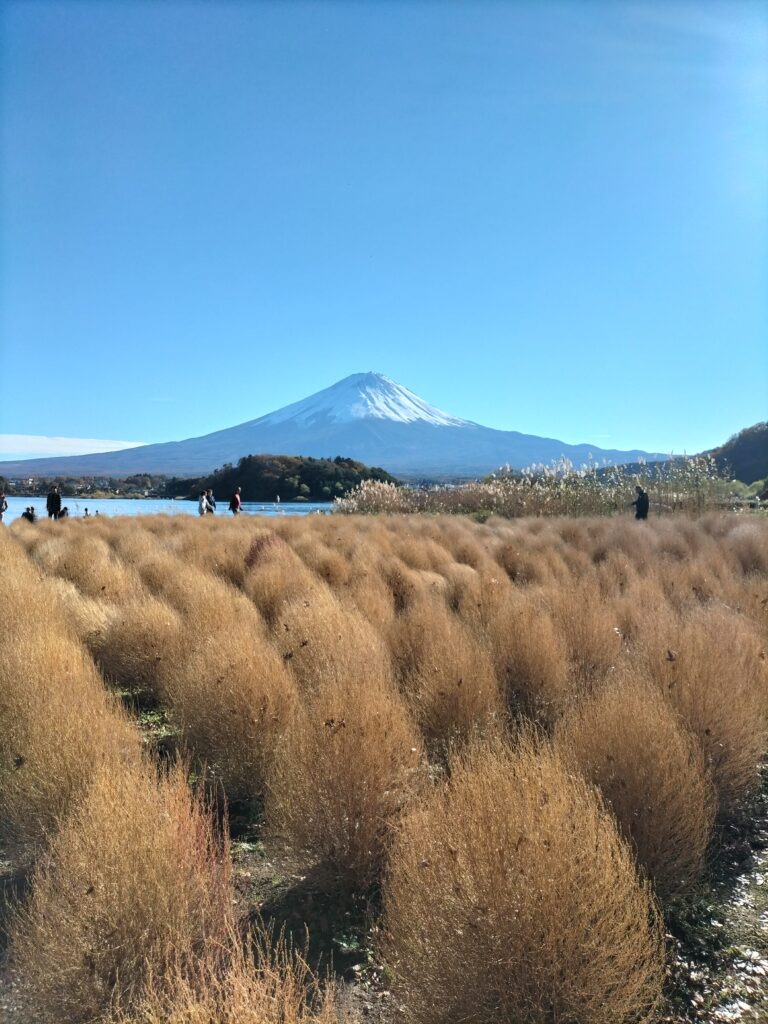 View of Mt.Fuji from Oishi Park (2)